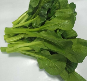 菜心苗